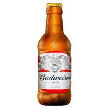 Budweiser 300ml | Apenas o Líquido